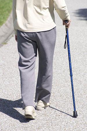柏にて歯科医院を探しているなら