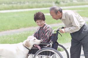美しい歯を実現する板橋の歯科クリニック