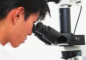春日部で家族のための予防歯科を徹底解説！虫歯予防から訪問歯科サービスまで全貌をご紹介
