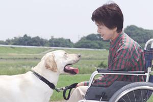 大分市の心療内科徹底ガイド2026：選び方とおすすめクリニックを完全解説